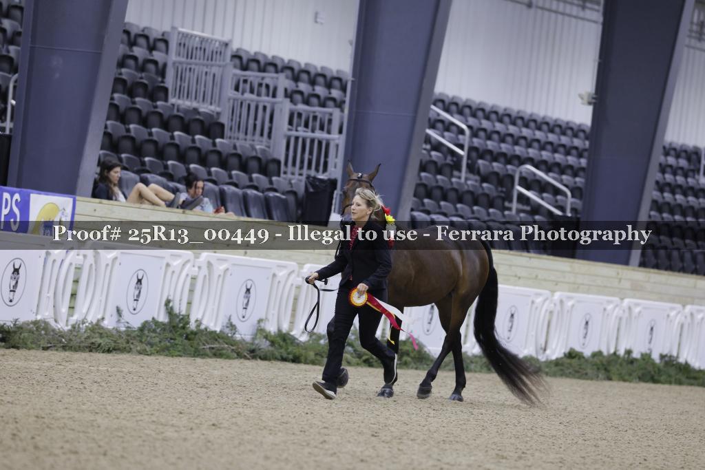 Proof 25R13_00449