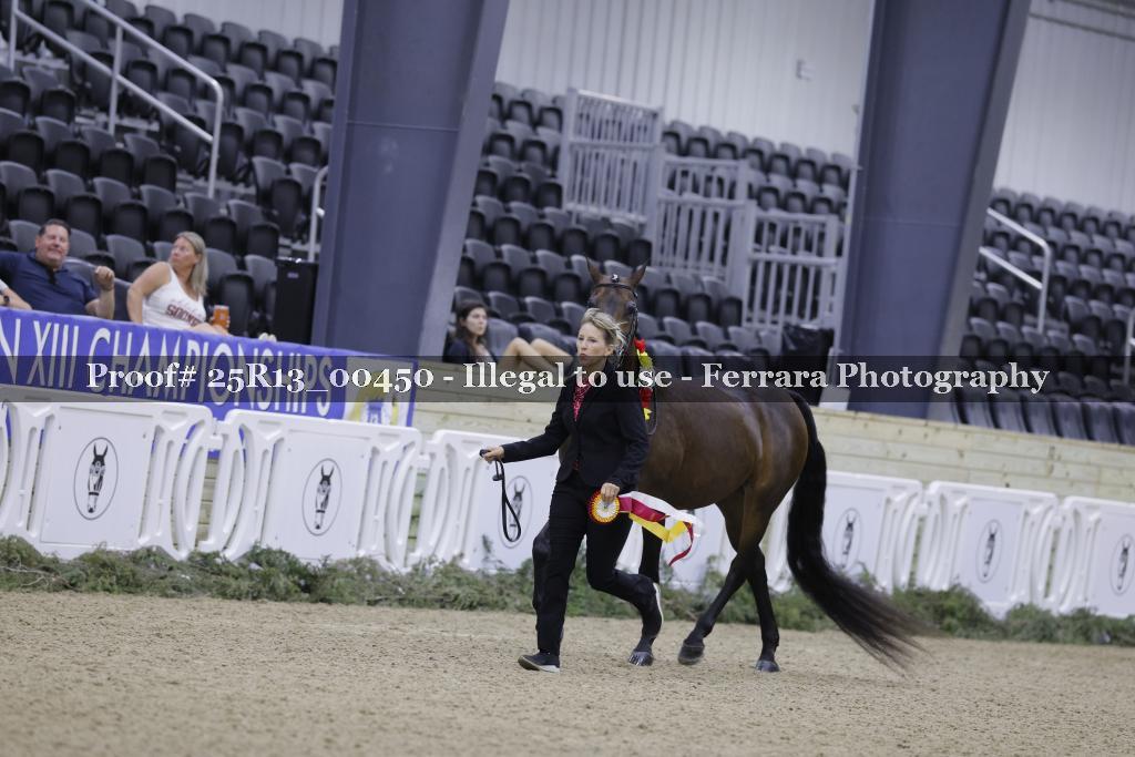 Proof 25R13_00450