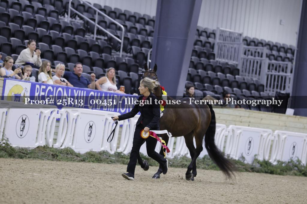 Proof 25R13_00451