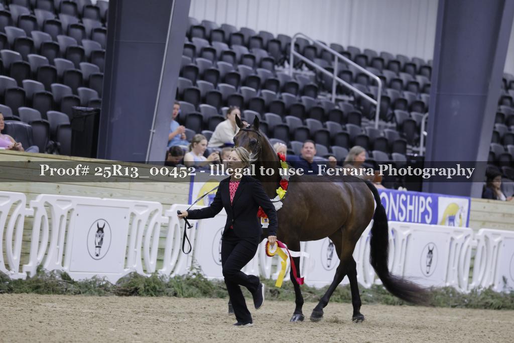 Proof 25R13_00452