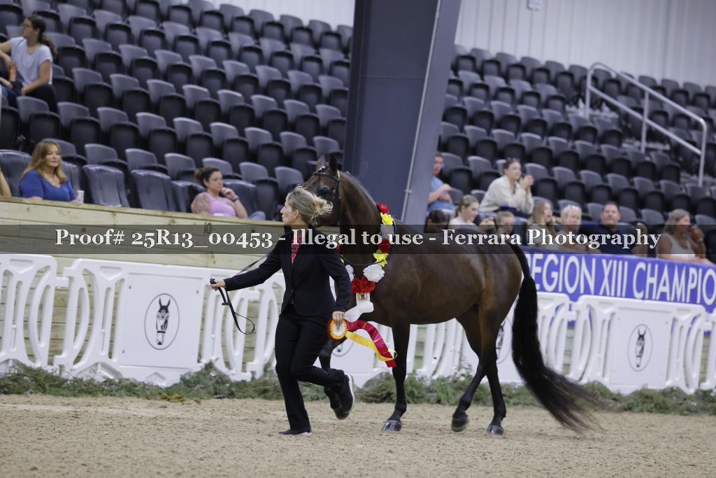 Proof 25R13_00453