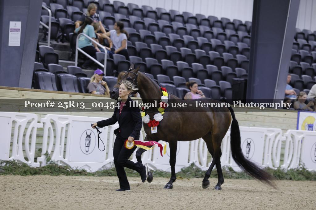 Proof 25R13_00454