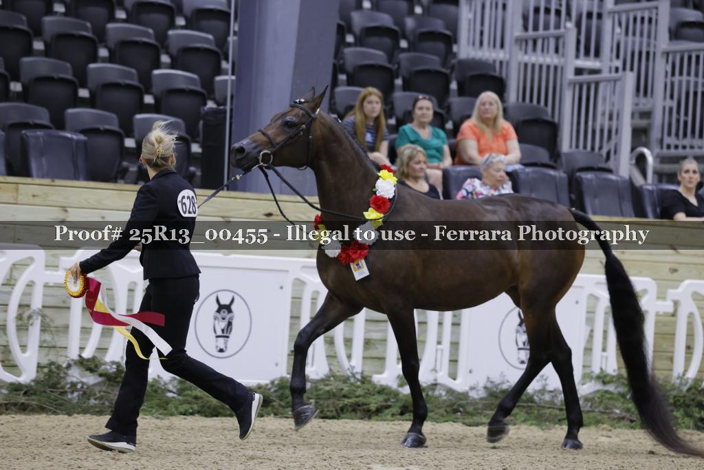 Proof 25R13_00455
