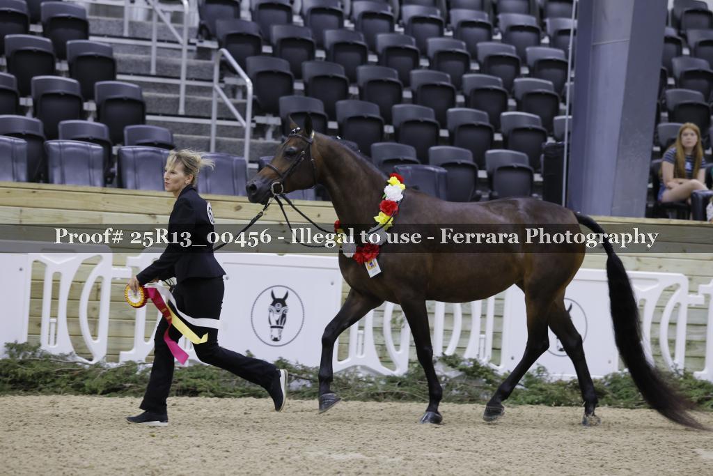 Proof 25R13_00456