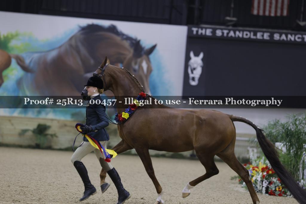 Proof 25R13_00457