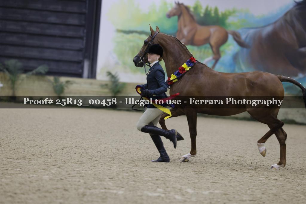 Proof 25R13_00458