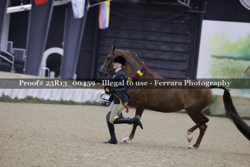Proof 25R13_00459