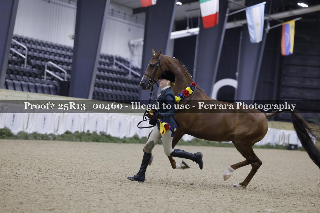 Proof 25R13_00460