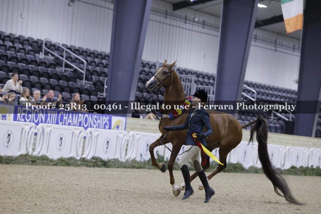 Proof 25R13_00461