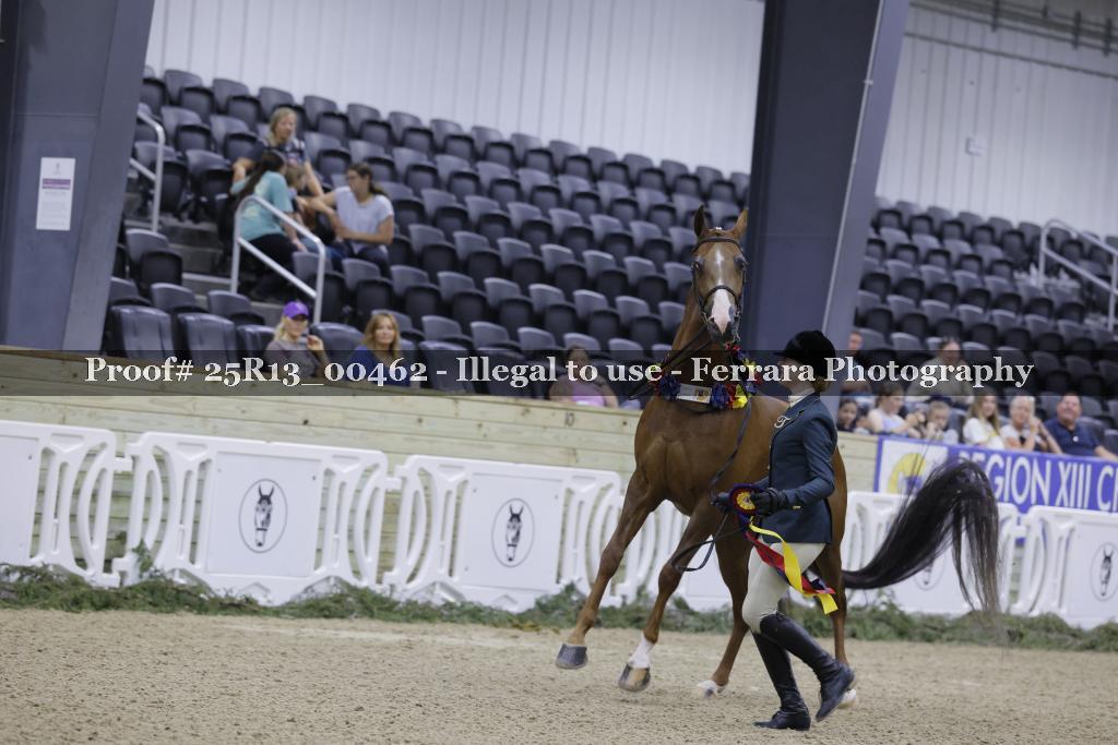 Proof 25R13_00462
