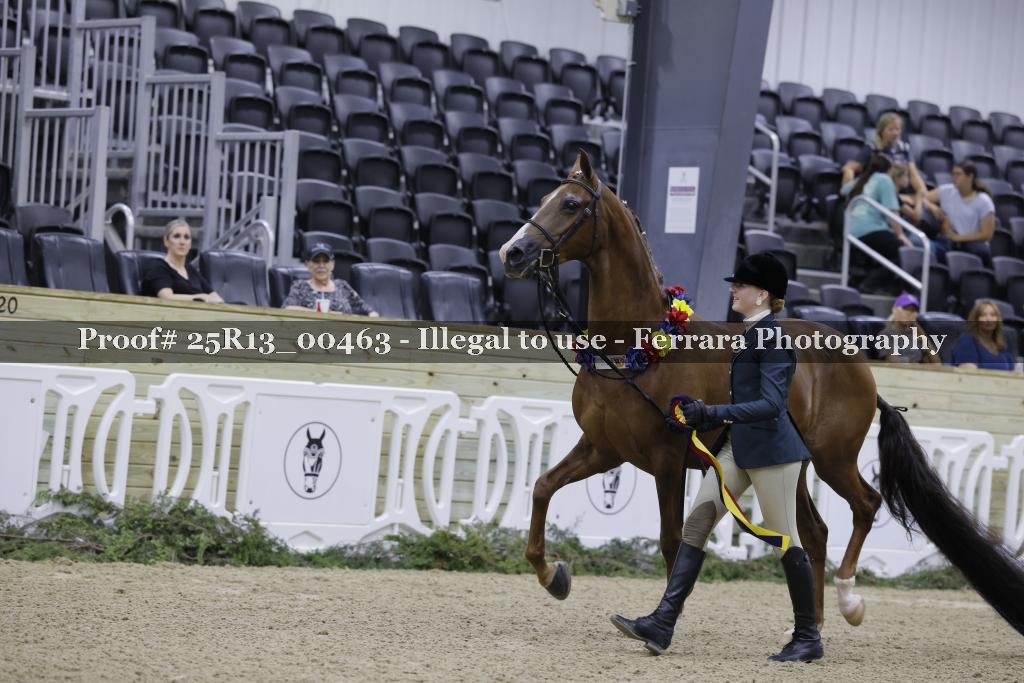Proof 25R13_00463