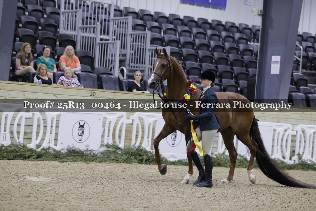 Proof 25R13_00464