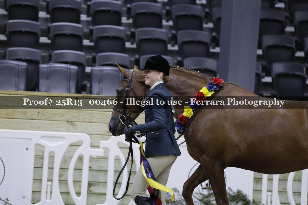 Proof 25R13_00466