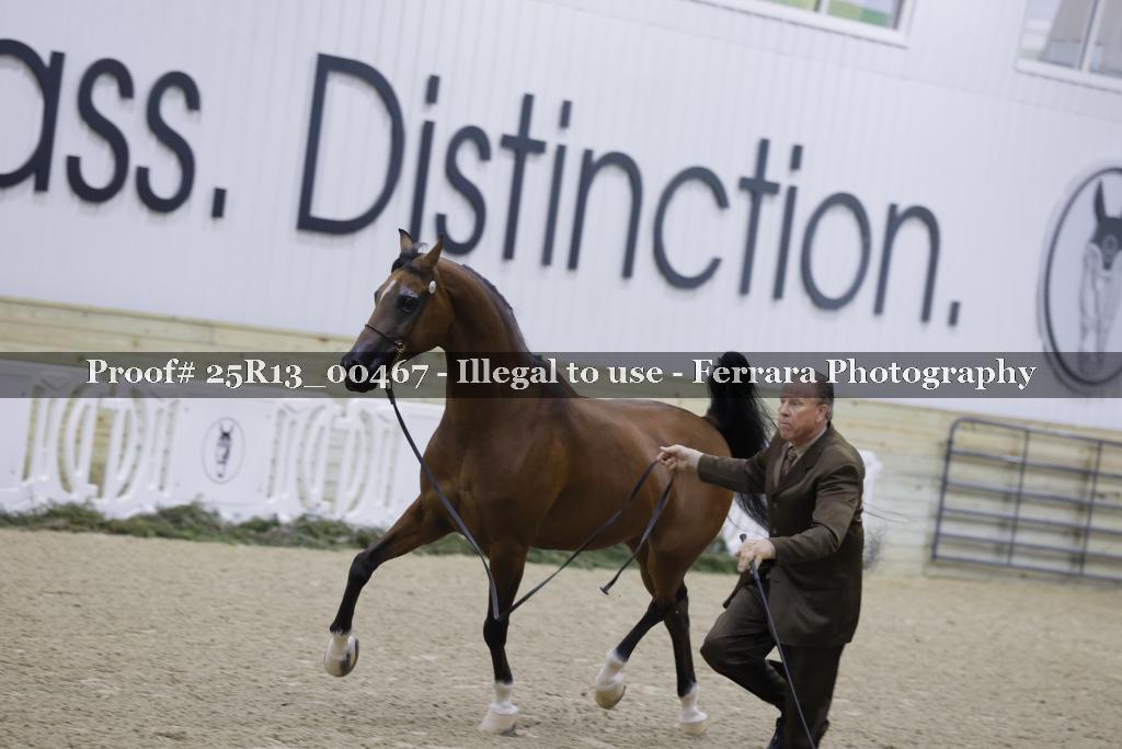 Proof 25R13_00467