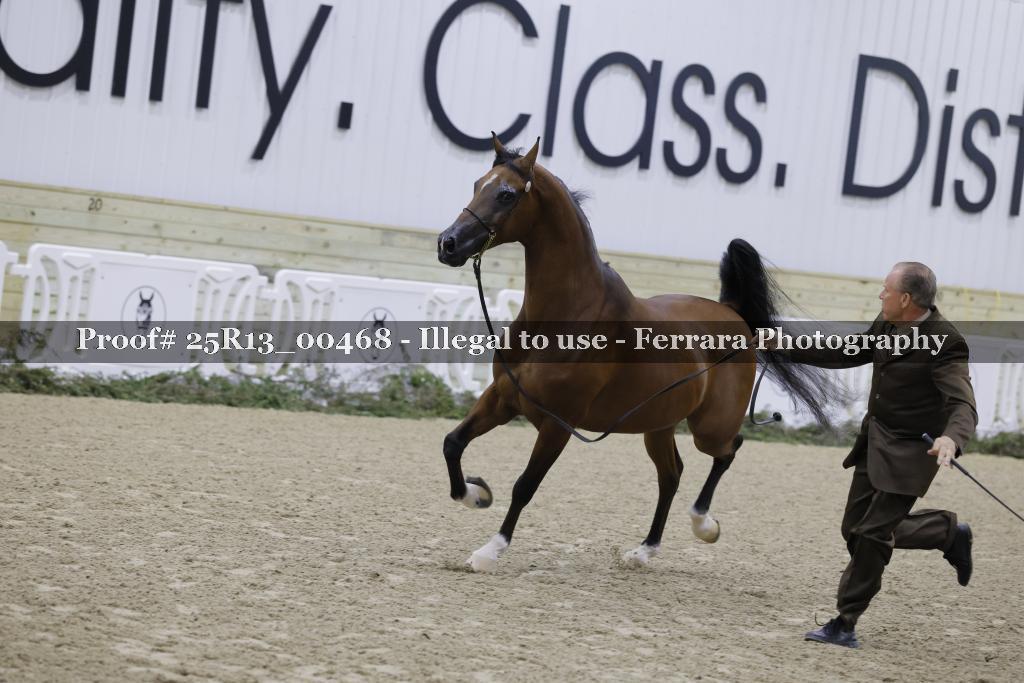 Proof 25R13_00468