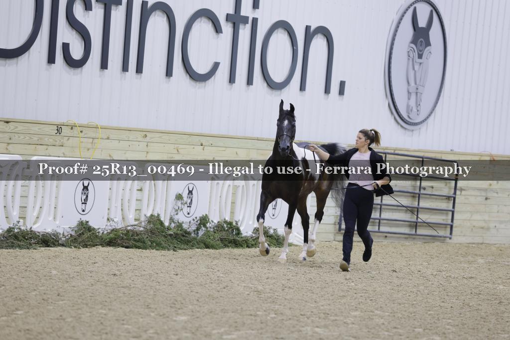 Proof 25R13_00469