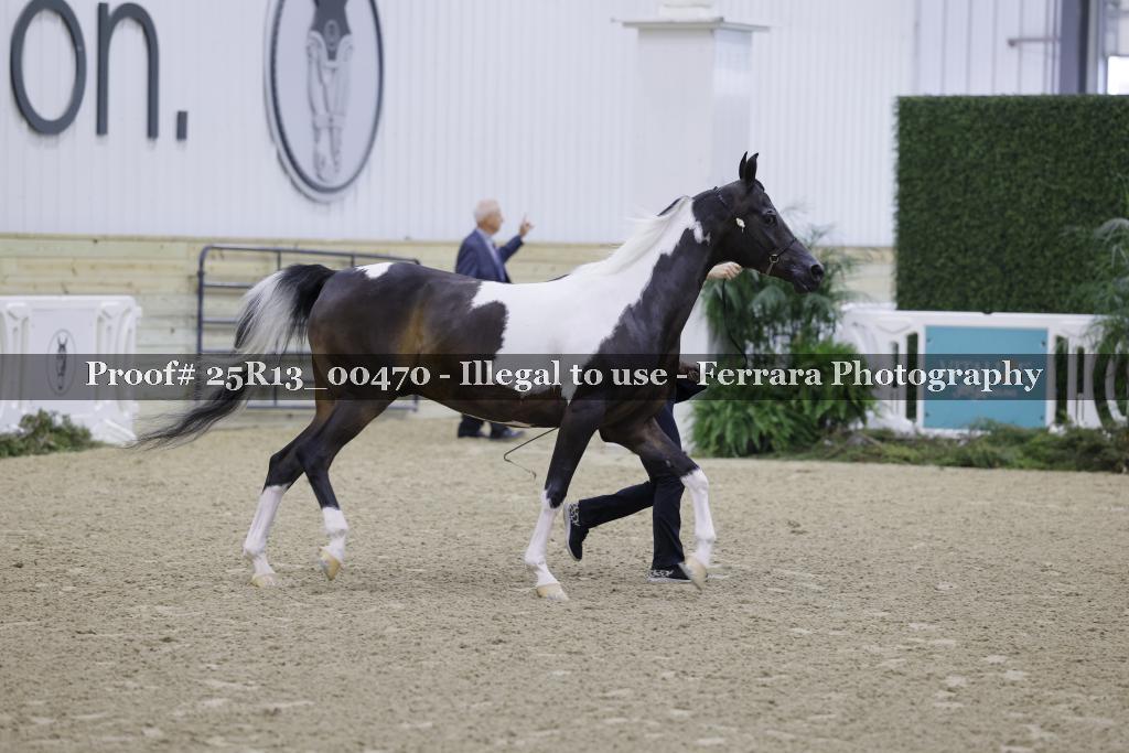Proof 25R13_00470