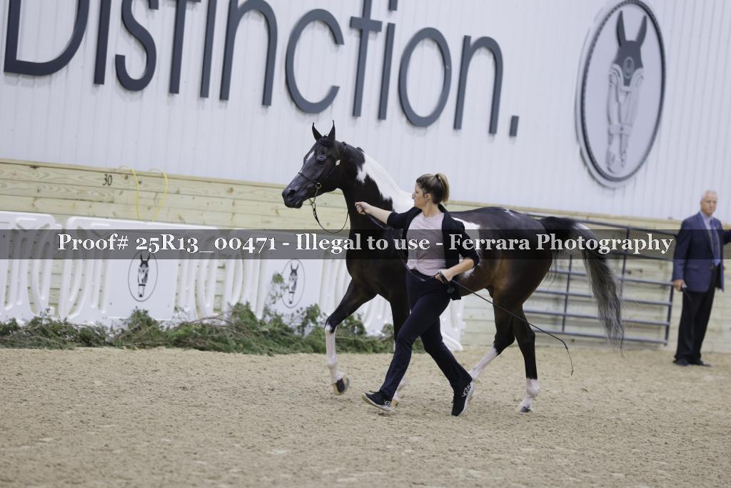 Proof 25R13_00471