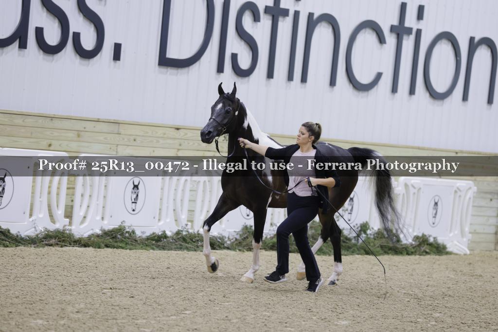 Proof 25R13_00472
