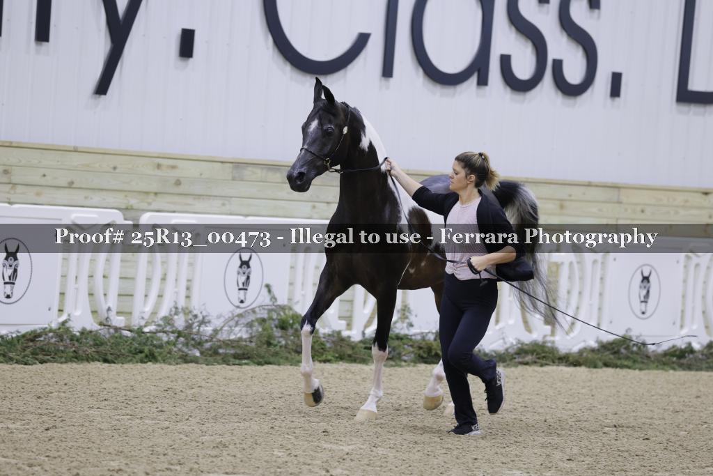 Proof 25R13_00473