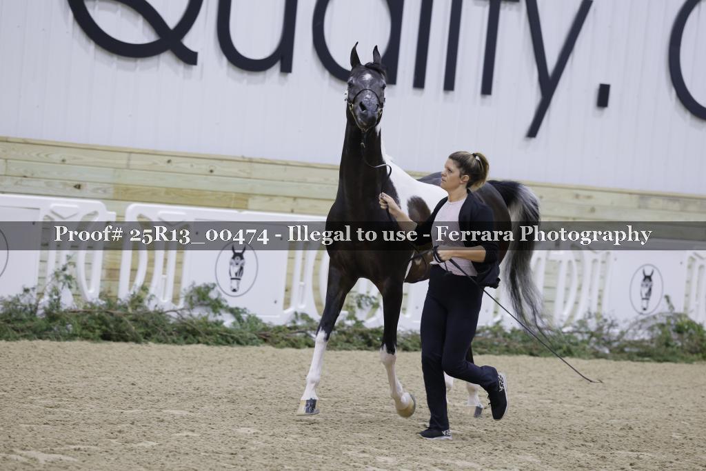 Proof 25R13_00474