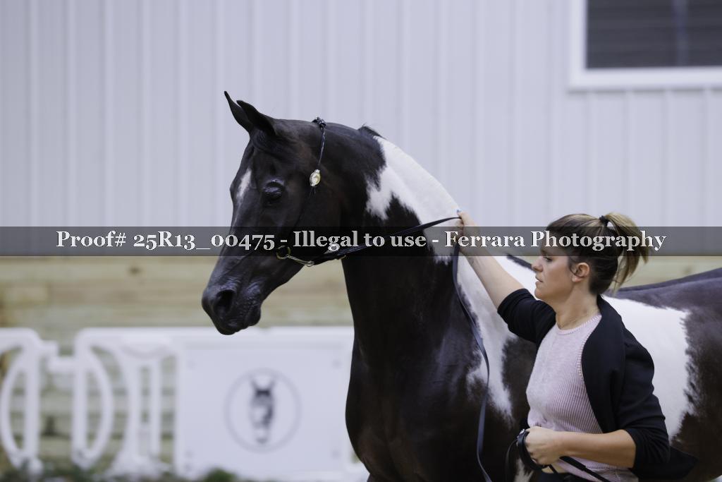 Proof 25R13_00475