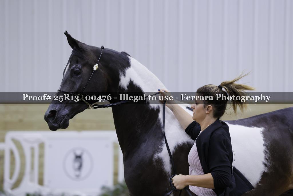 Proof 25R13_00476