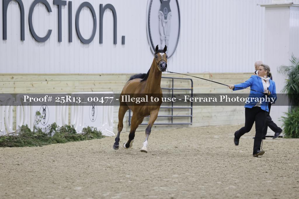 Proof 25R13_00477