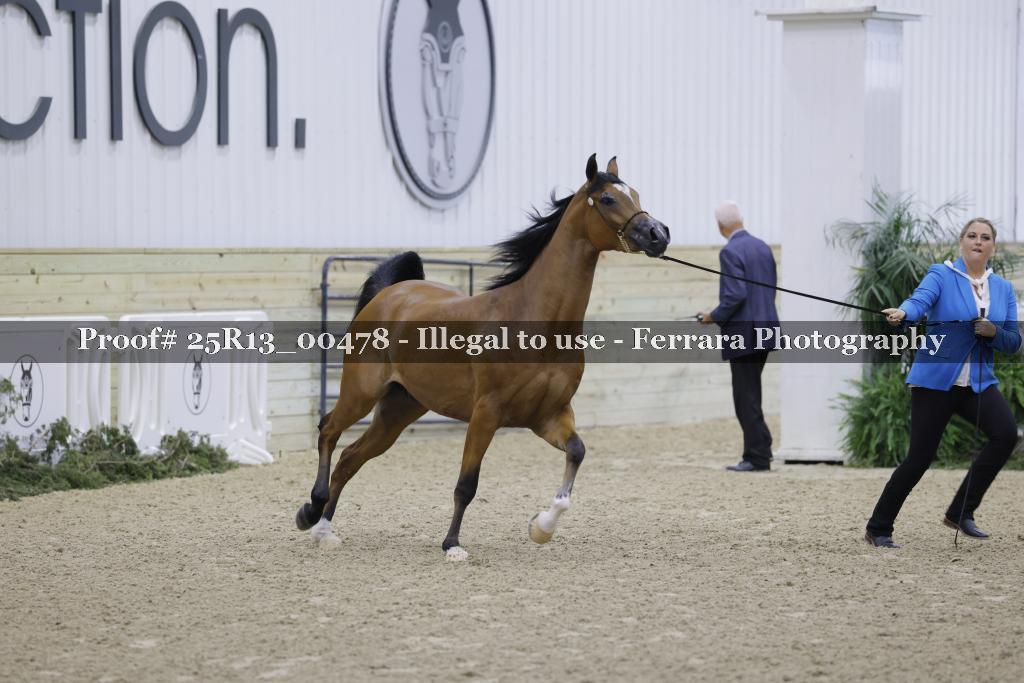 Proof 25R13_00478