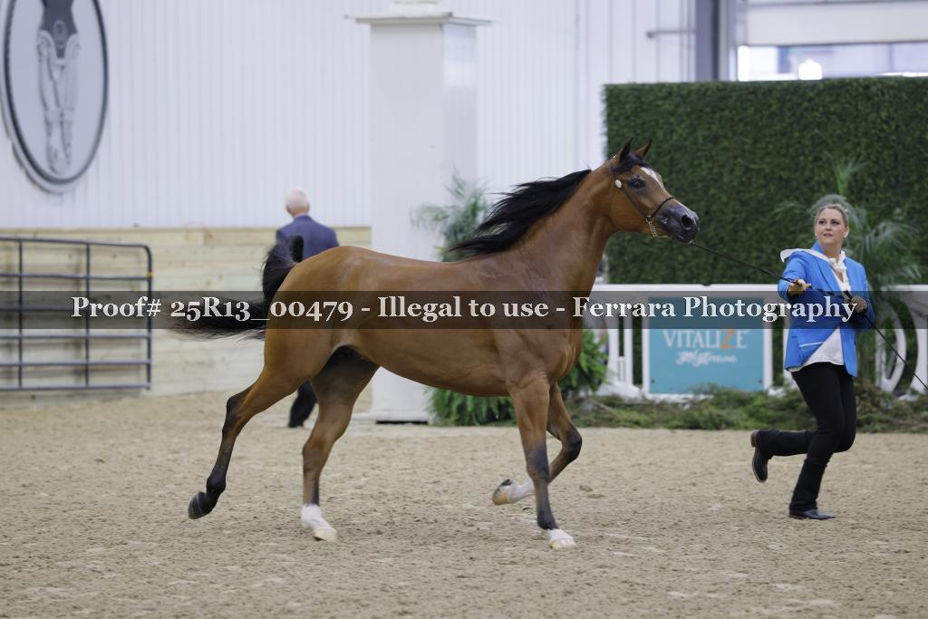 Proof 25R13_00479