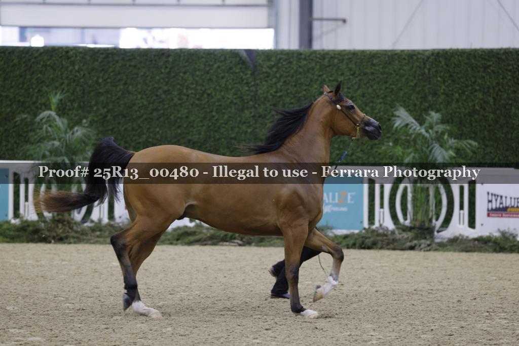 Proof 25R13_00480