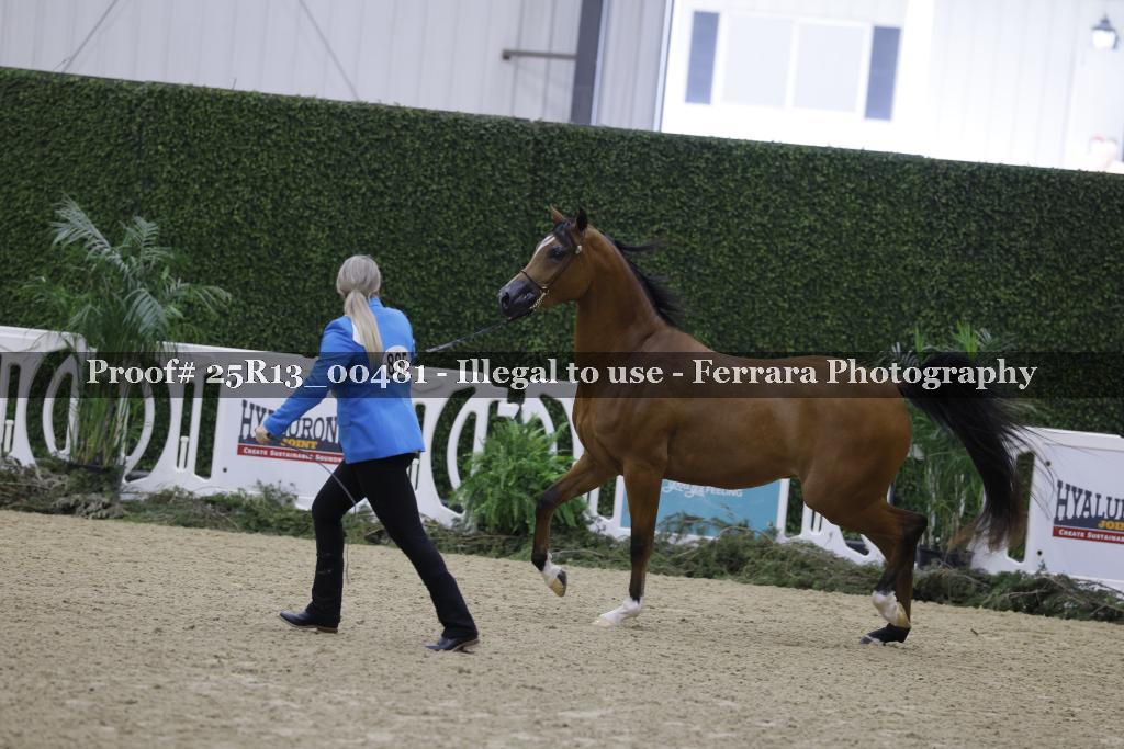 Proof 25R13_00481