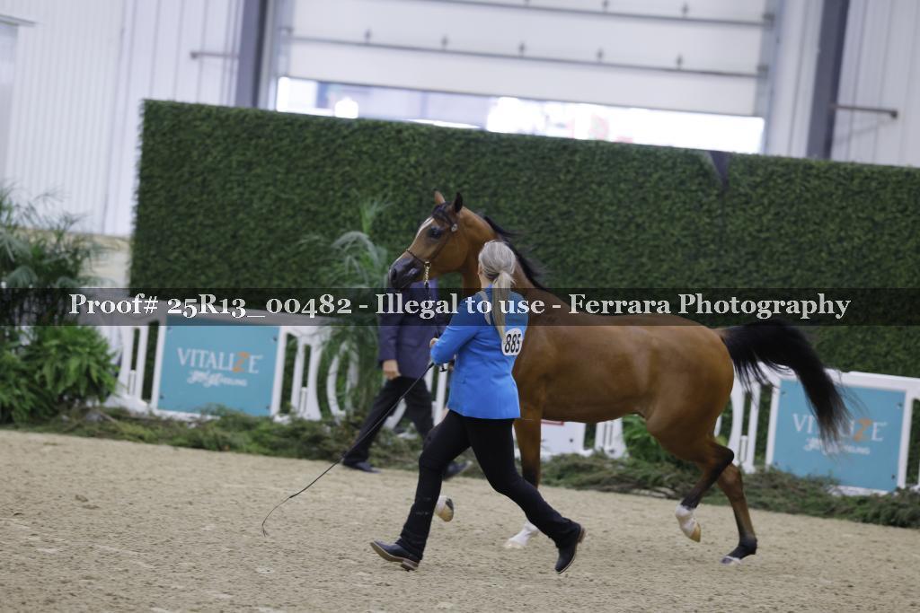 Proof 25R13_00482