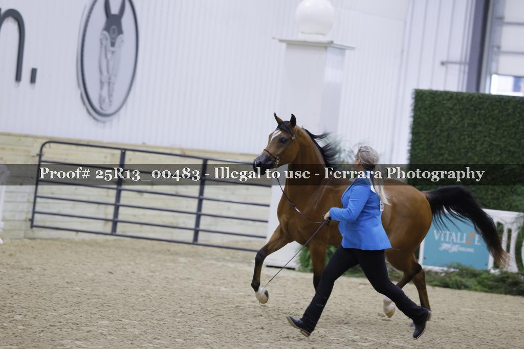 Proof 25R13_00483