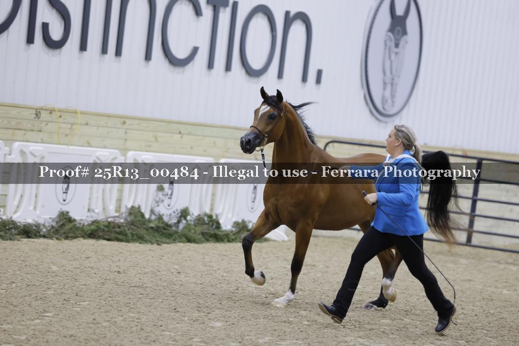 Proof 25R13_00484