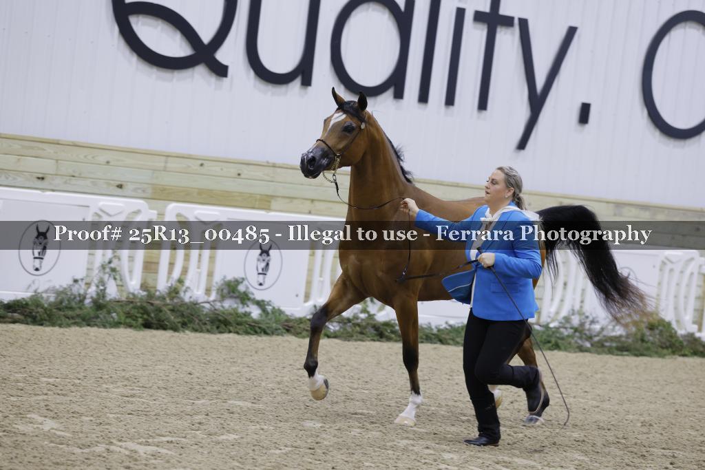 Proof 25R13_00485