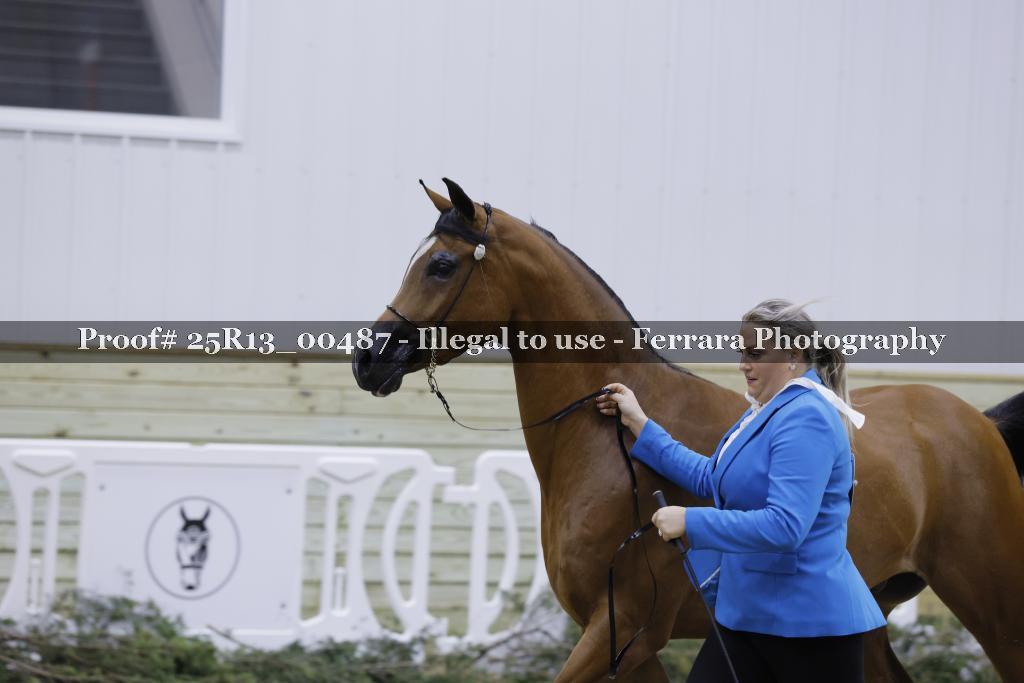 Proof 25R13_00487