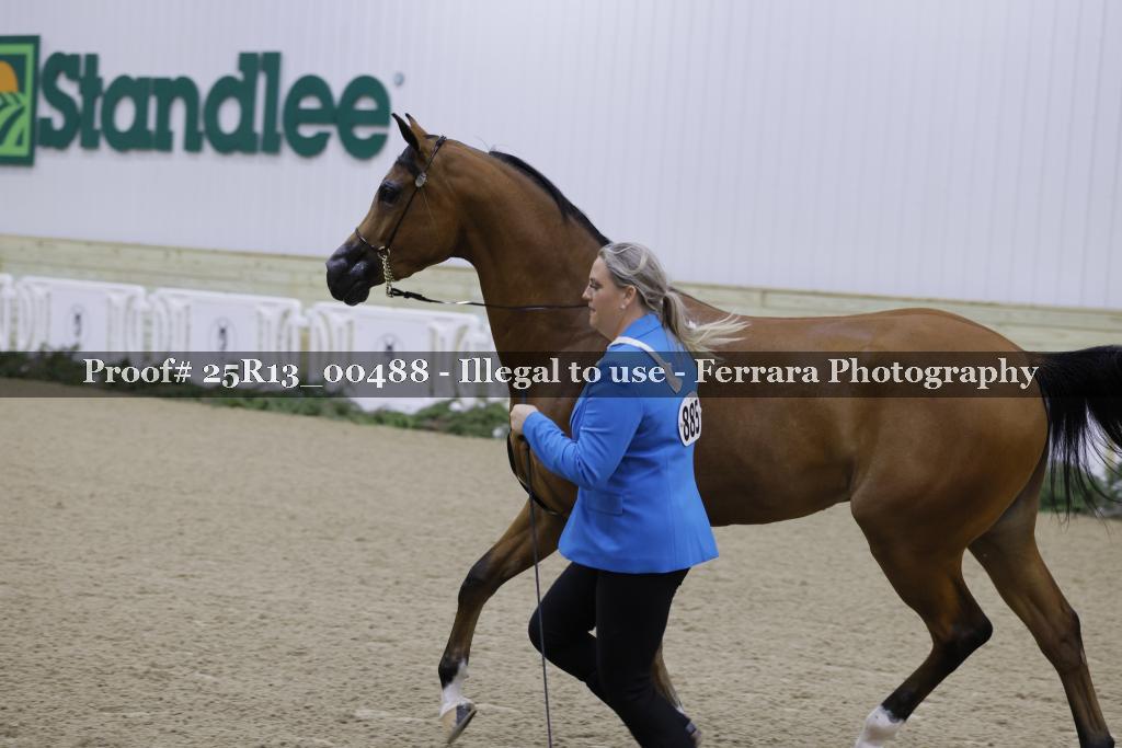 Proof 25R13_00488