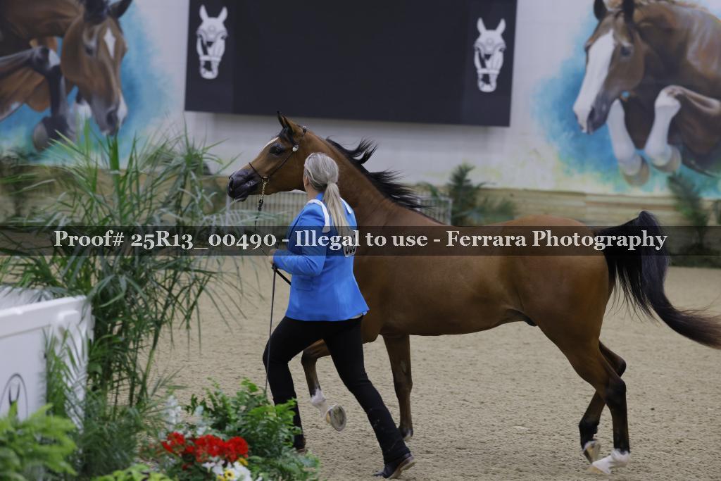 Proof 25R13_00490