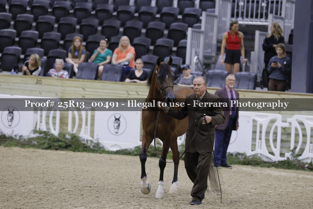 Proof 25R13_00491