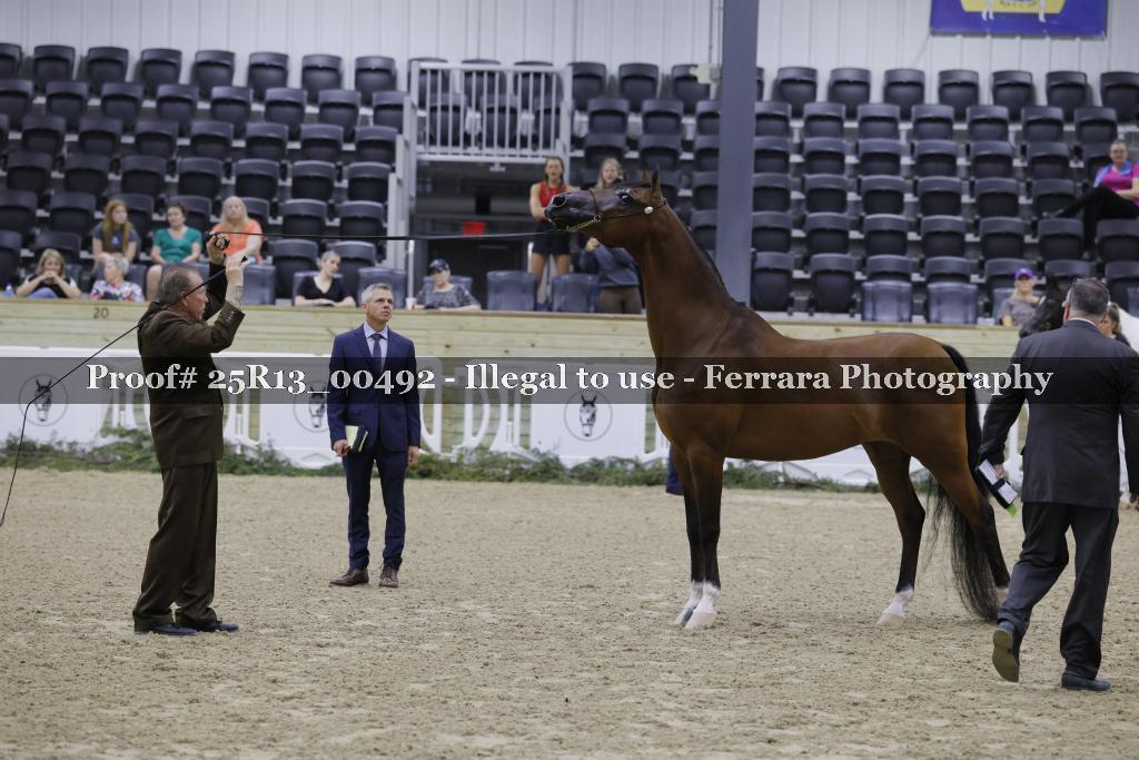 Proof 25R13_00492