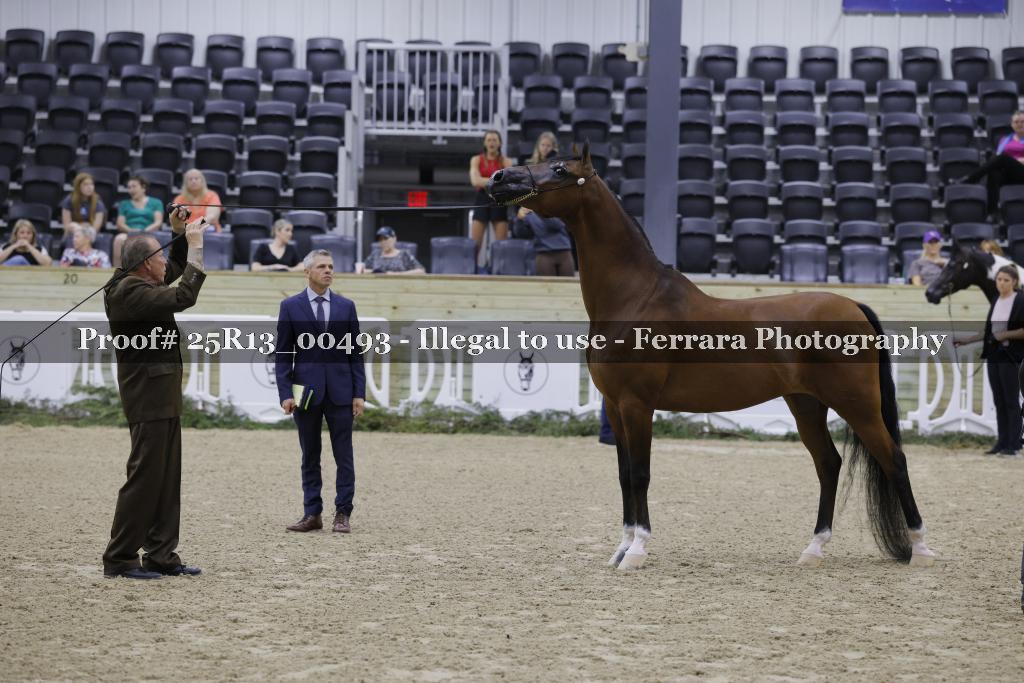 Proof 25R13_00493