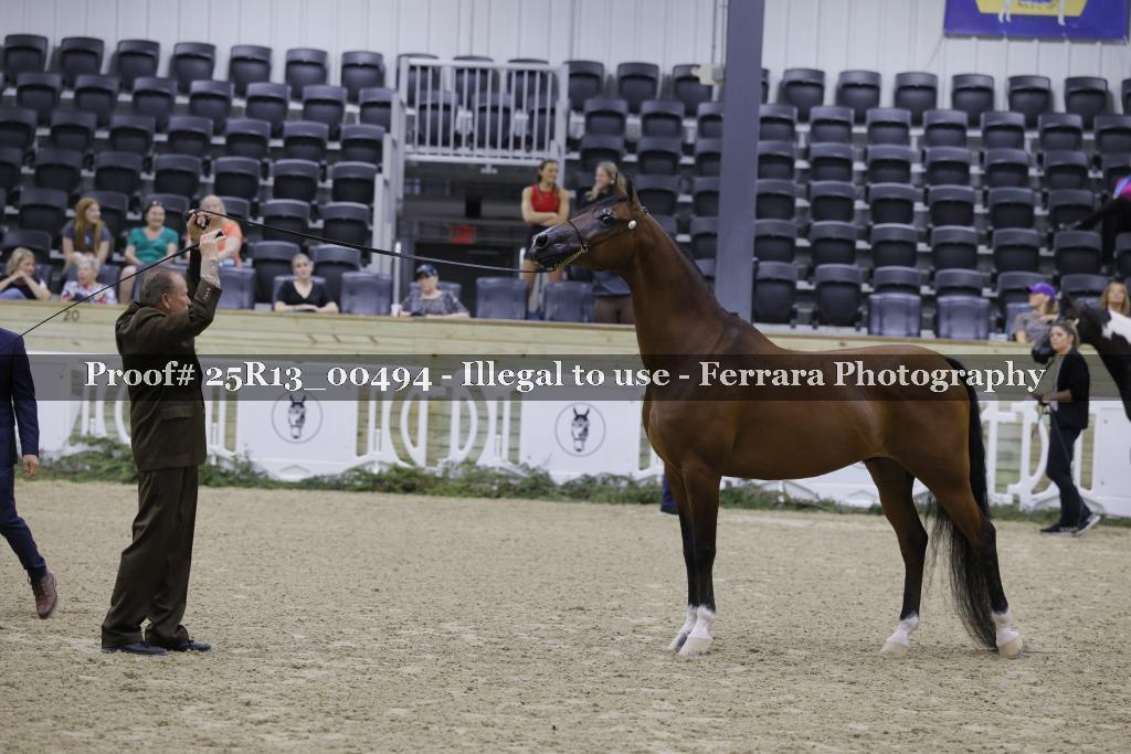 Proof 25R13_00494