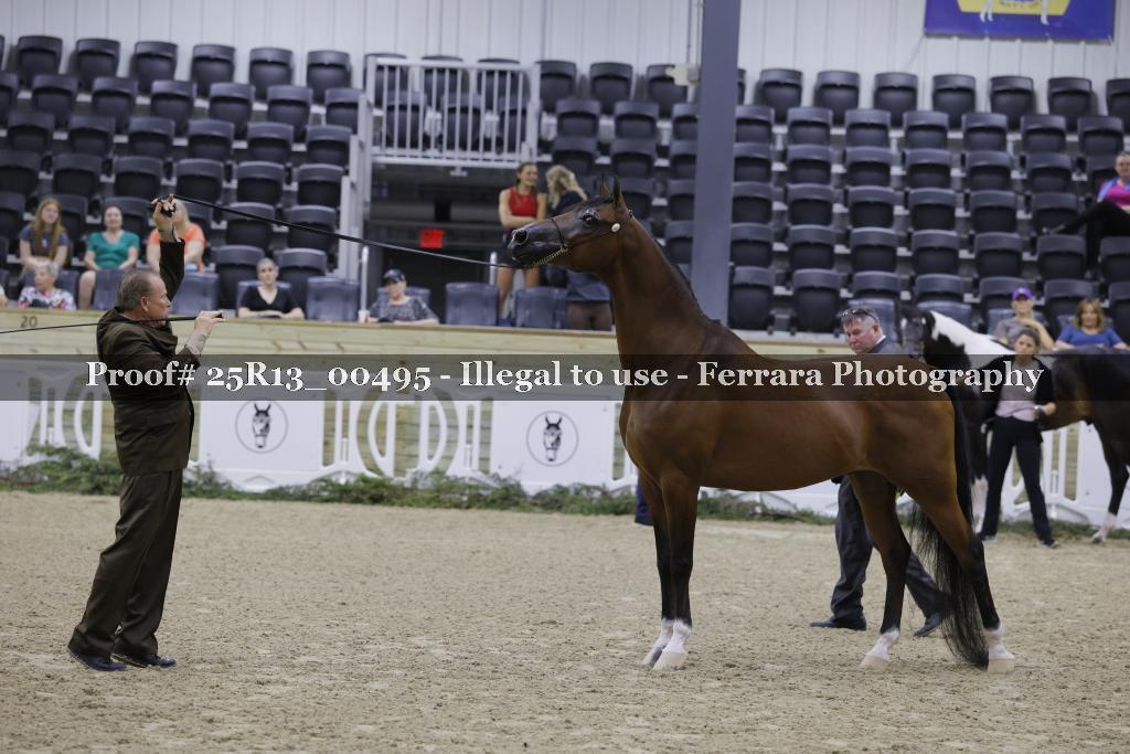 Proof 25R13_00495