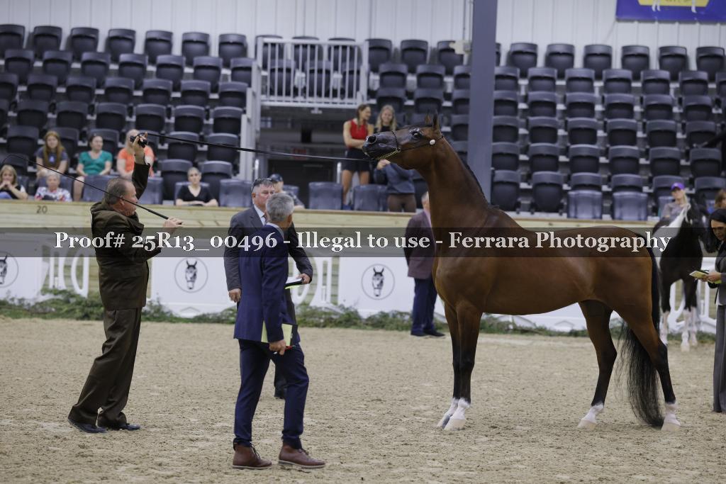 Proof 25R13_00496