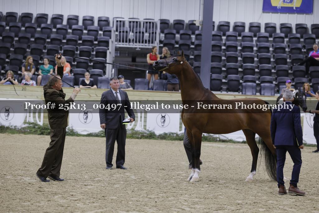 Proof 25R13_00497