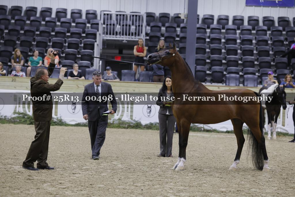 Proof 25R13_00498
