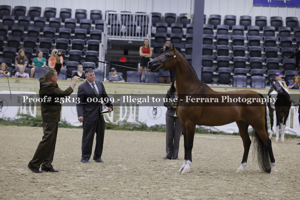 Proof 25R13_00499