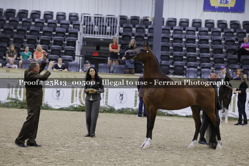 Proof 25R13_00500