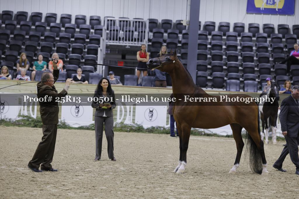 Proof 25R13_00501